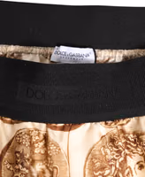 Brown Ancient Coin Print Silk Shorts Swimwear 3