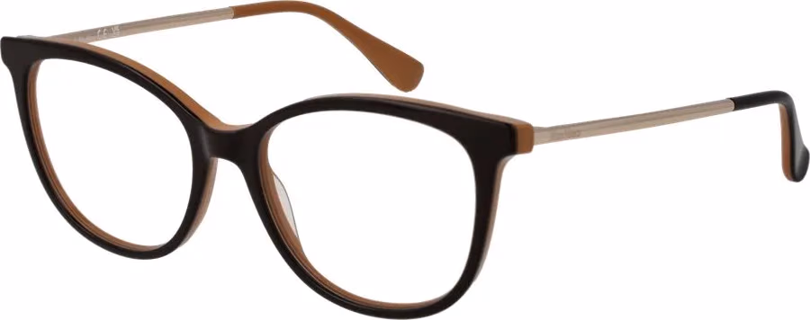 Brown Acetate Glasses (Frames)