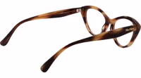 Brown Acetate Glasses (Frames) 3