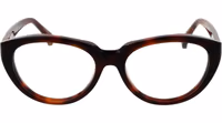 Brown Acetate Glasses (Frames) 2