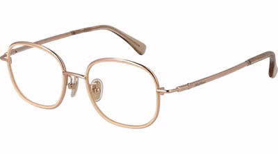 Rose Gold Metal Glasses (Frames)