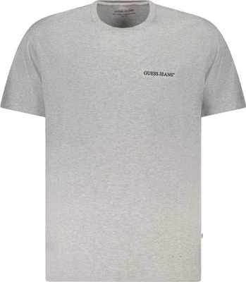 Gray Cotton Men T-Shirt