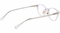 Transparent Acetate Glasses (Frames) 3