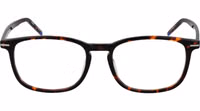 Brown Acetate Glasses (Frames) 2