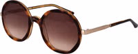 Brown Acetate Sunglasses 1