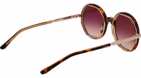 Brown Acetate Sunglasses 3