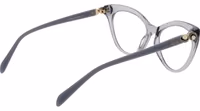 Gray Acetate Glasses (Frames) 3