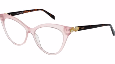 Pink Plastic Glasses (Frames)