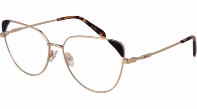 Gold Metal Glasses (Frames)