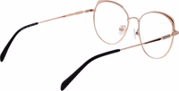 Rose Gold Metal Glasses (Frames) 3