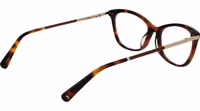 Brown Acetate Glasses (Frames) 3
