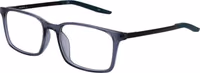 Blue Plastic Glasses (Frames) 1