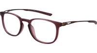 Brown Titanium Glasses (Frames) 1