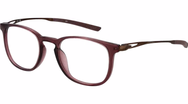 Brown Titanium Glasses (Frames)