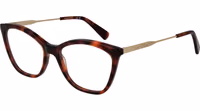 Brown Metal & Plastic Glasses (Frames) 1