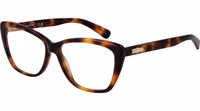 Brown Acetate Glasses (Frames) 1