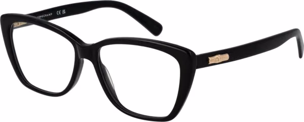 Black Acetate Glasses (Frames)