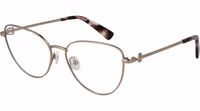 Gold Metal Glasses (Frames) 1