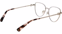 Gold Metal Glasses (Frames) 3