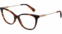 Brown Metal Glasses (Frames) 1