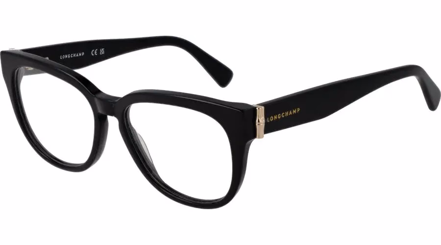 Black Acetate Glasses (Frames)