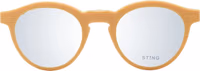 Brown Acetate & Plastic Glasses (Frames) 2
