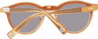Brown Acetate & Plastic Glasses (Frames) 3