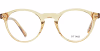 Brown Acetate & Plastic Glasses (Frames) 5