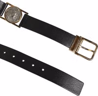 Black Leather Gold Silver Coin Buckle Belt 4