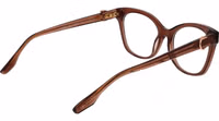Brown Acetate Glasses (Frames) 3