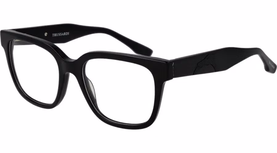 Black Acetate Glasses (Frames)
