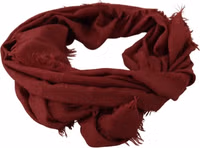 Red DG Crown Cashmere Silk Shawl Fringe Wrap Scarf 4