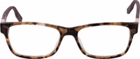 Brown Plastic Glasses (Frames) 2