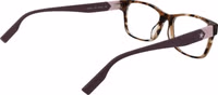 Brown Plastic Glasses (Frames) 3