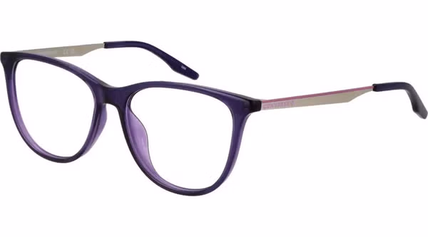 Purple Metal Glasses (Frames)