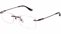 Brown Titanium Glasses (Frames) 1