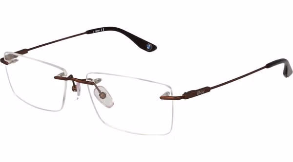 Brown Titanium Glasses (Frames)