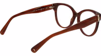 Brown Acetate Glasses (Frames) 3