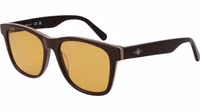 Brown Acetate Sunglasses 1