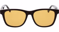 Brown Acetate Sunglasses 2