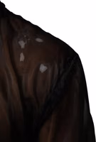 Black Sheer Long Sleeves Turtleneck Top 4