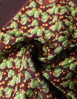 Brown Cactus Print Square Handkerchief Scarf 3