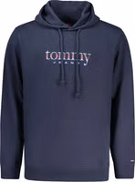 Blue Cotton Men Hoodie 1
