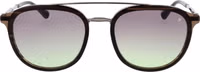 Brown Acetate Sunglasses 2