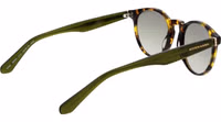Brown Acetate Sunglasses 3