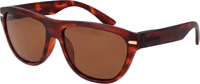 Brown  Sunglasses 1
