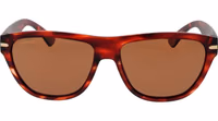 Brown  Sunglasses 2
