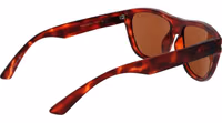 Brown  Sunglasses 3