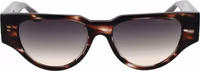 Brown Acetate Sunglasses 2