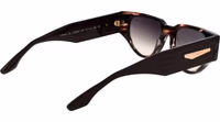 Brown Acetate Sunglasses 3